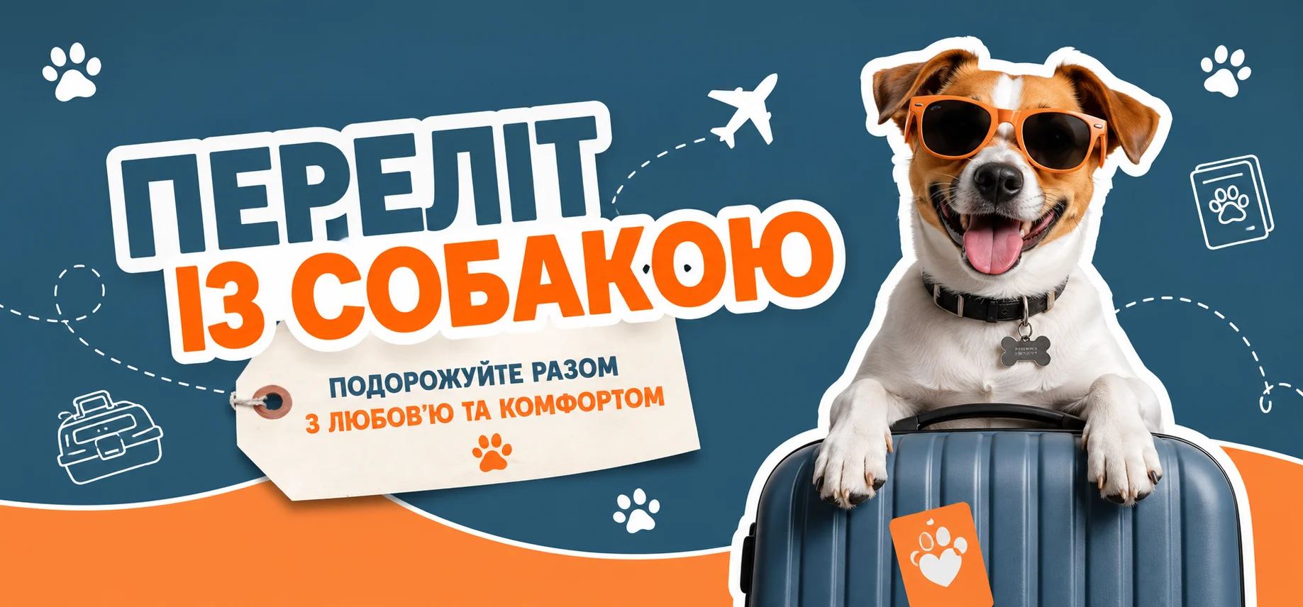 Подорож літаком із чотирилапим другом: повний гайд від підготовки документів до посадки на борт