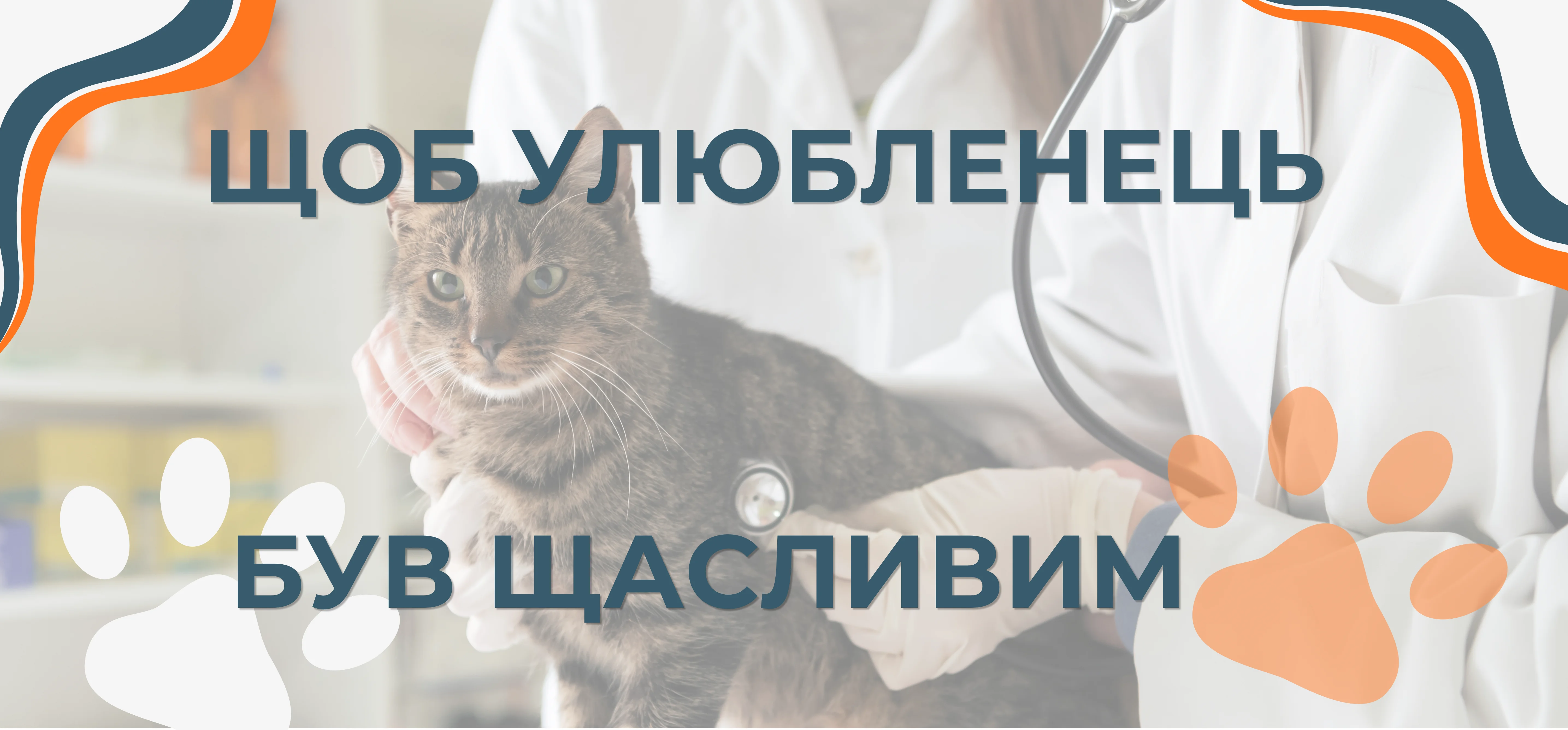Не чекати, поки заболить: 5 речей, які ветеринари радять робити для довшого та здоровішого життя улюбленця