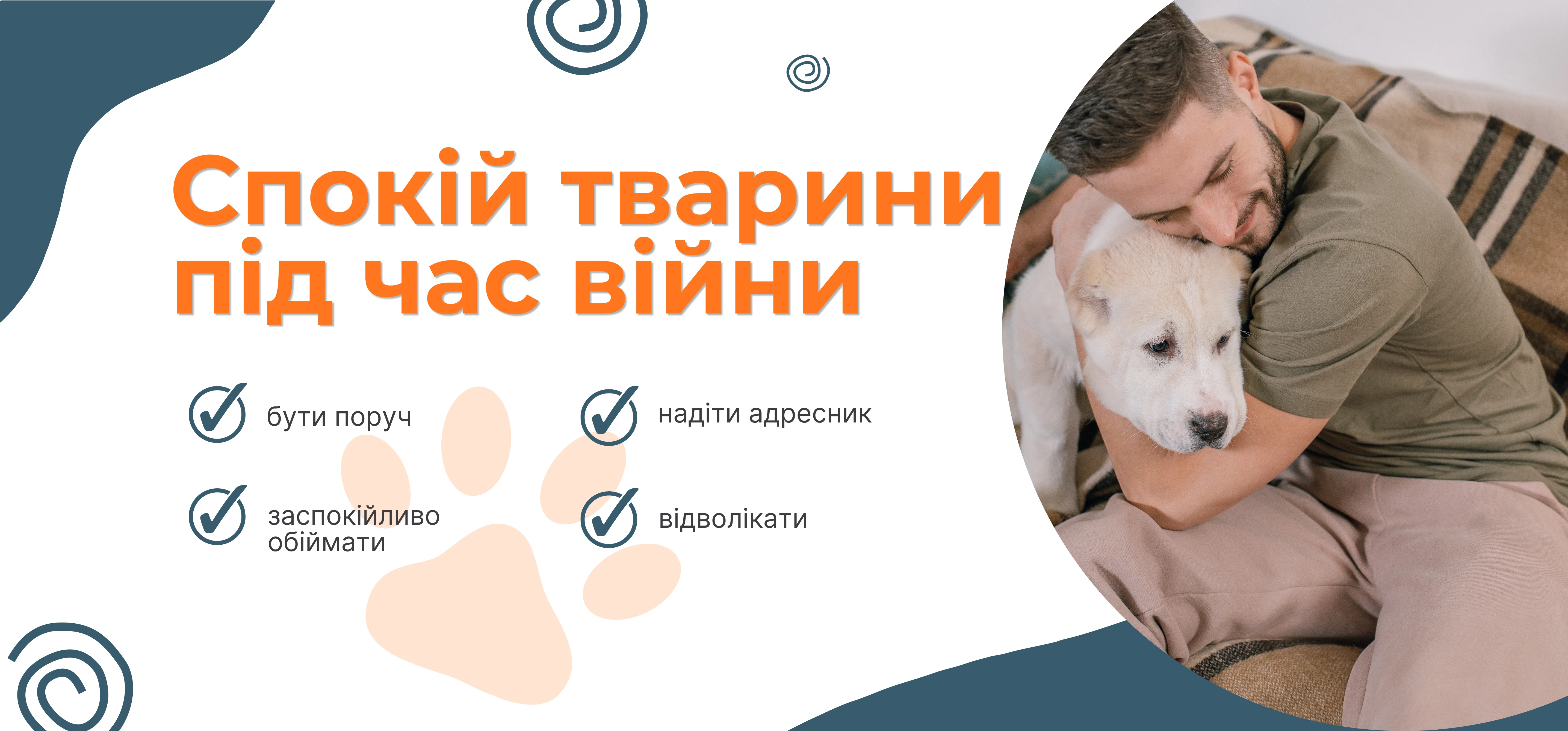 Спокій під час вибухів: як допомогти котам і собакам подолати стрес війни