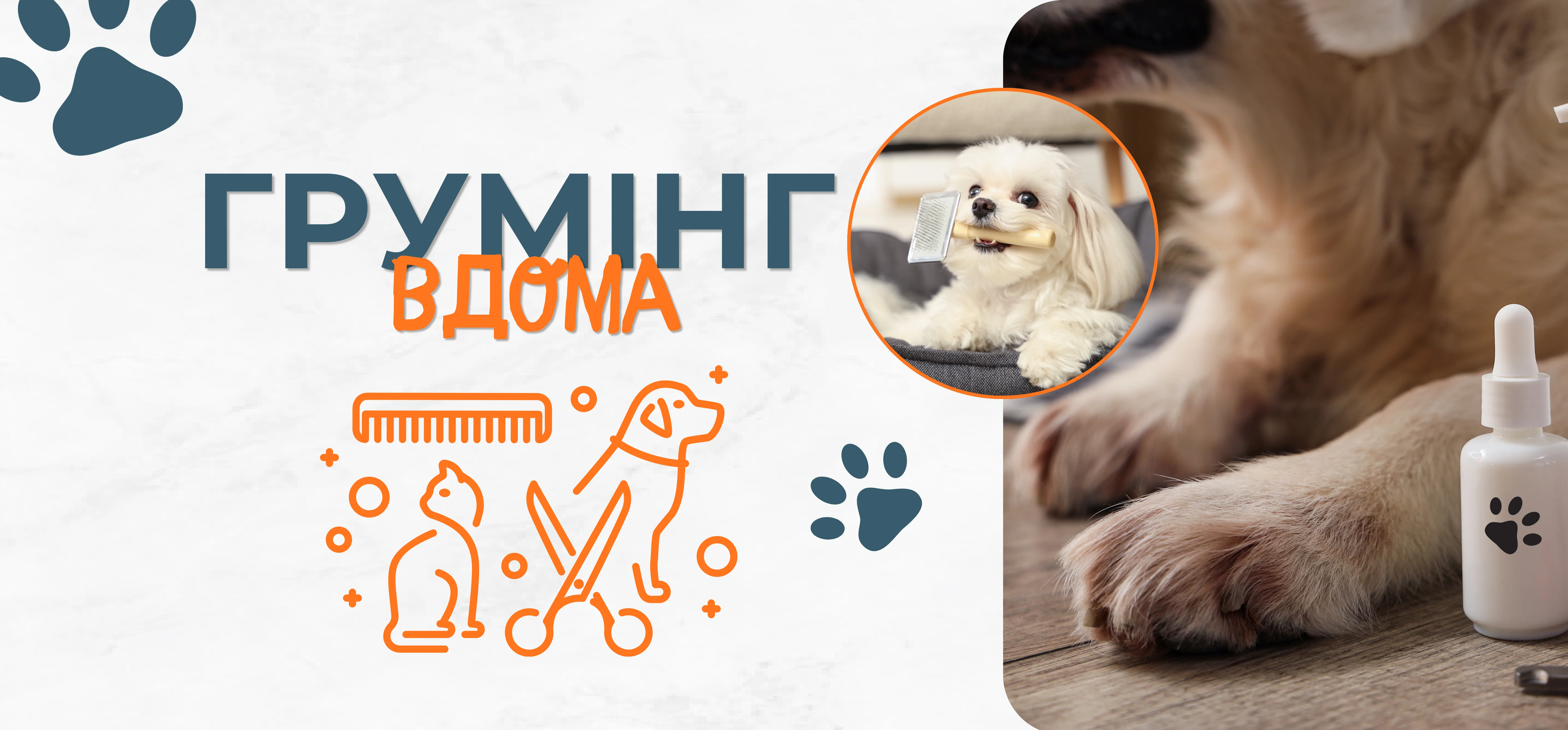 Салон краси на дому: базовий грумінг для собак та котів