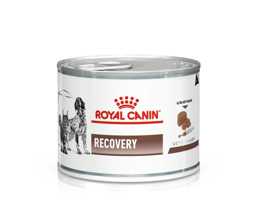 Консервований дієтичний корм Royal Canin Recovery для котів і собак у період відновлення після хвороби - 195 г