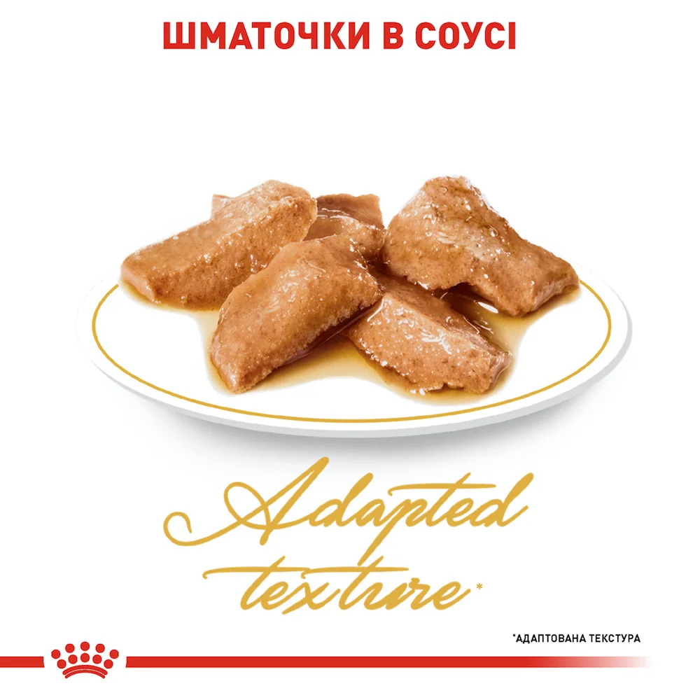 Вологий корм Royal Canin Maine Coon Adult для дорослих котів породи мейн-кун - шматочки в соусі